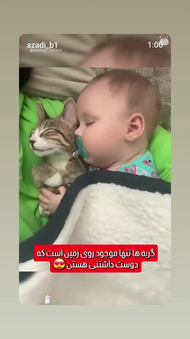  جدید ترین استوری اینستاگرام مازیار لرستانی