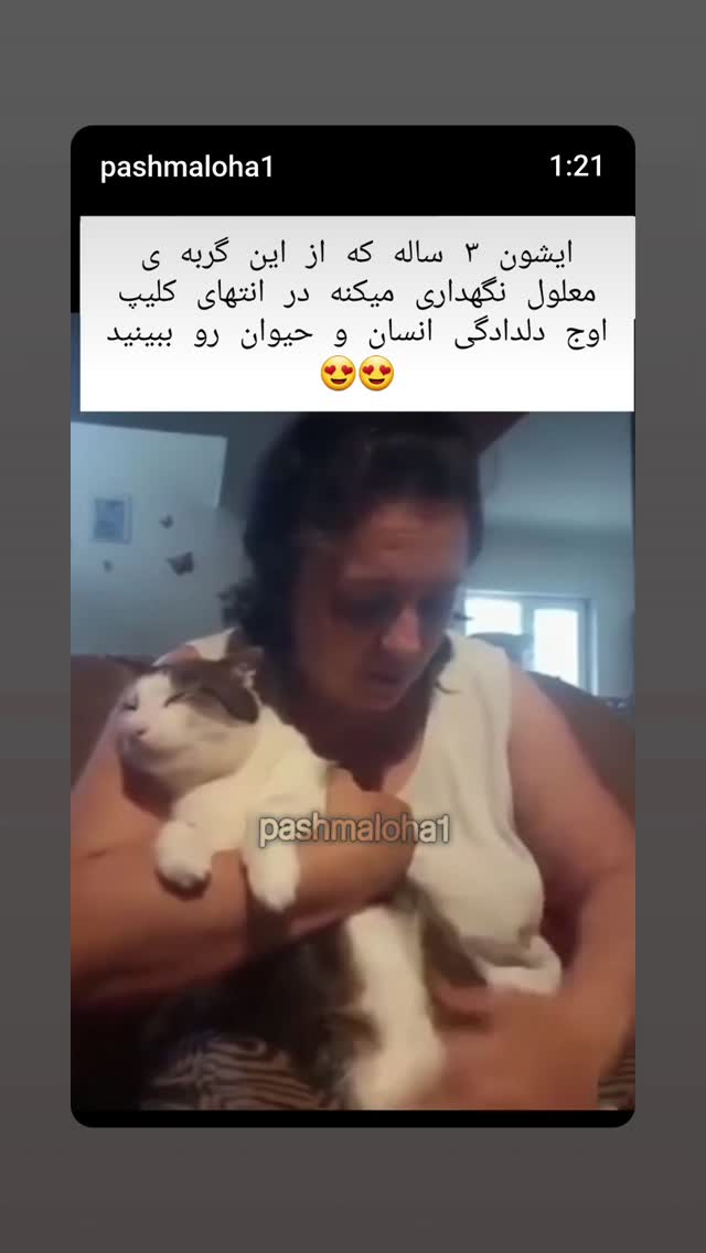  جدید ترین استوری اینستاگرام مازیار لرستانی