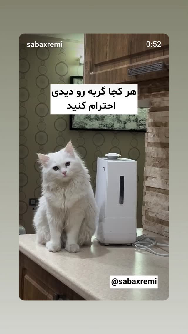  جدید ترین استوری اینستاگرام مازیار لرستانی