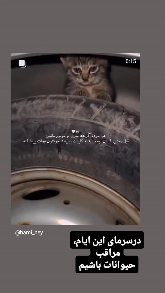  جدید ترین استوری اینستاگرام مازیار لرستانی