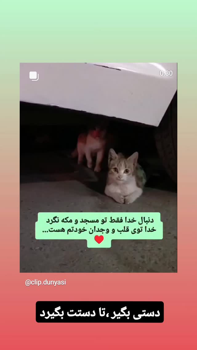  جدید ترین استوری اینستاگرام مازیار لرستانی
