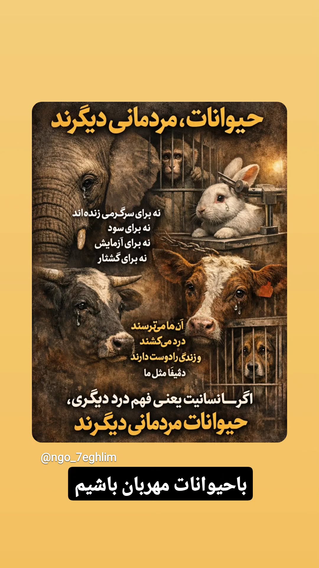  جدید ترین استوری اینستاگرام مازیار لرستانی