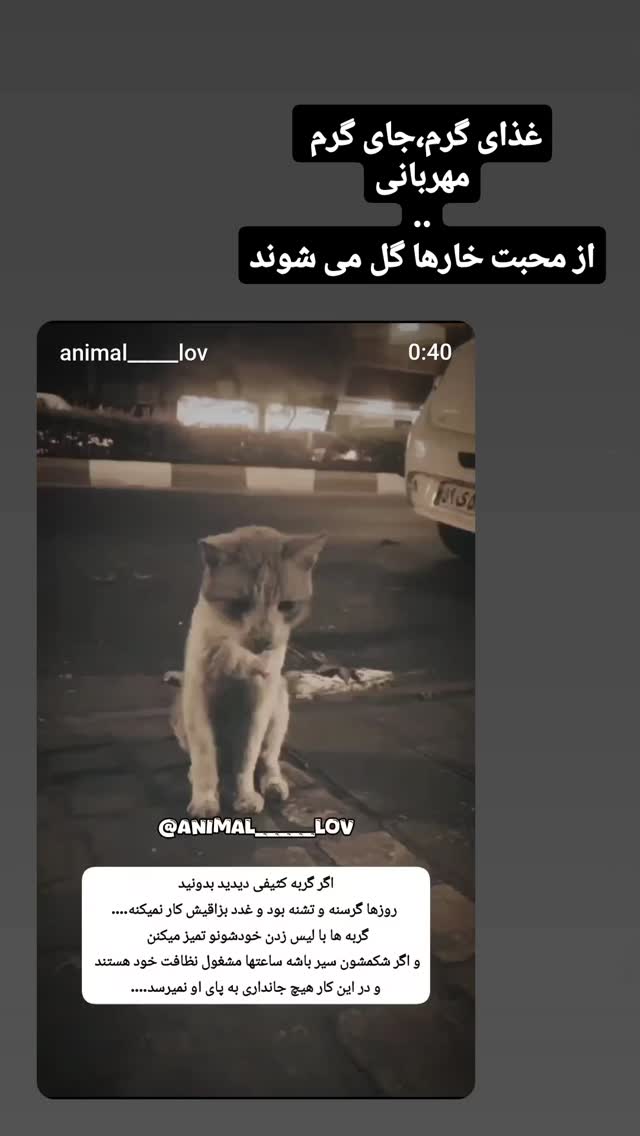  جدید ترین استوری اینستاگرام مازیار لرستانی
