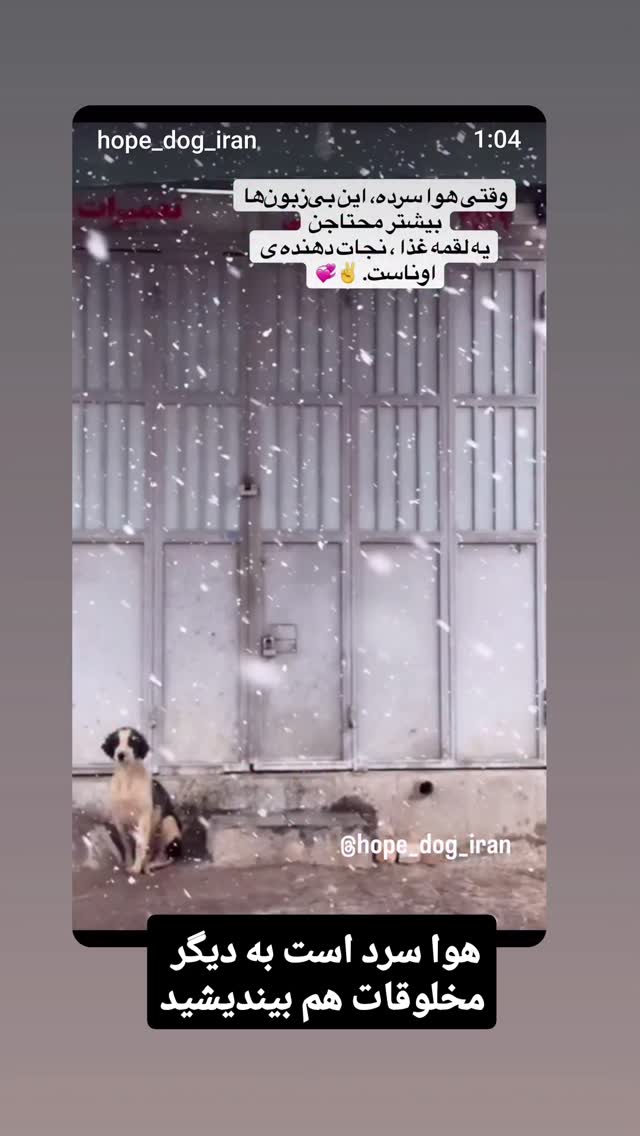  جدید ترین استوری اینستاگرام مازیار لرستانی