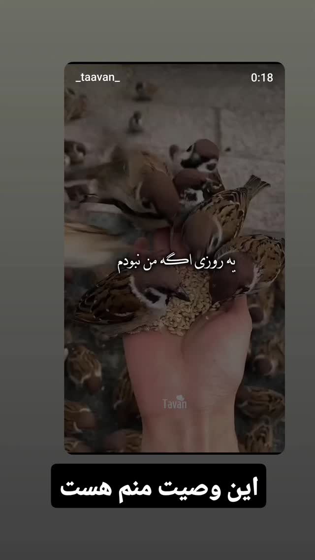  جدید ترین استوری اینستاگرام مازیار لرستانی