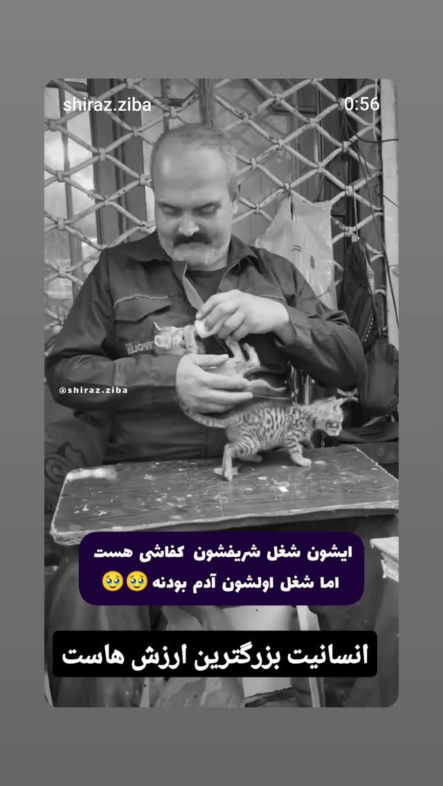  جدید ترین استوری اینستاگرام مازیار لرستانی