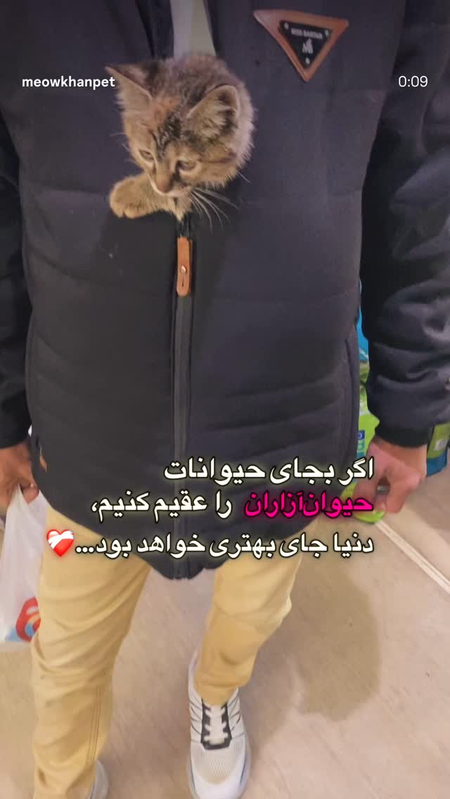  جدید ترین استوری اینستاگرام مازیار لرستانی