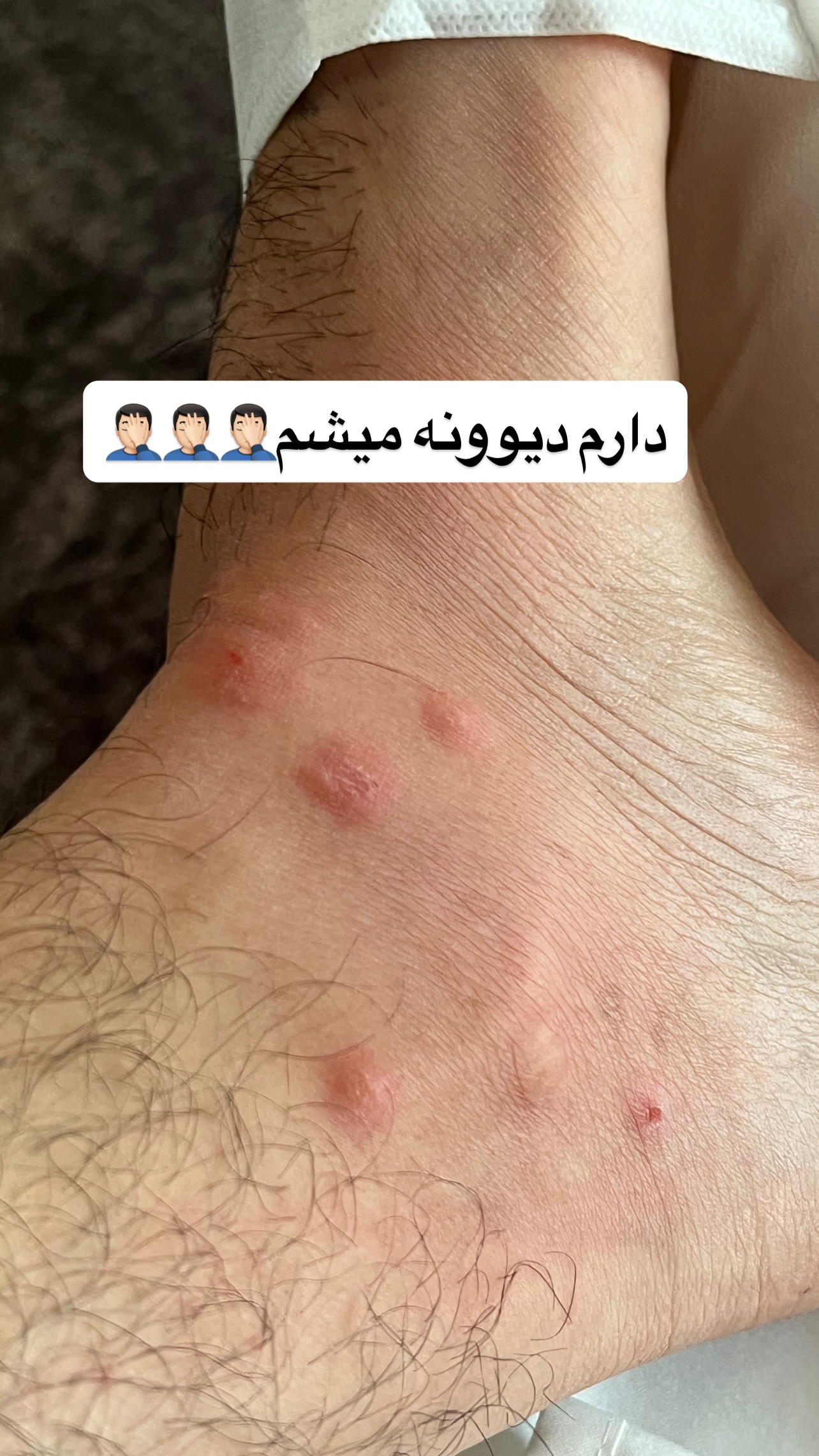  جدید ترین استوری اینستاگرام مستر مبین