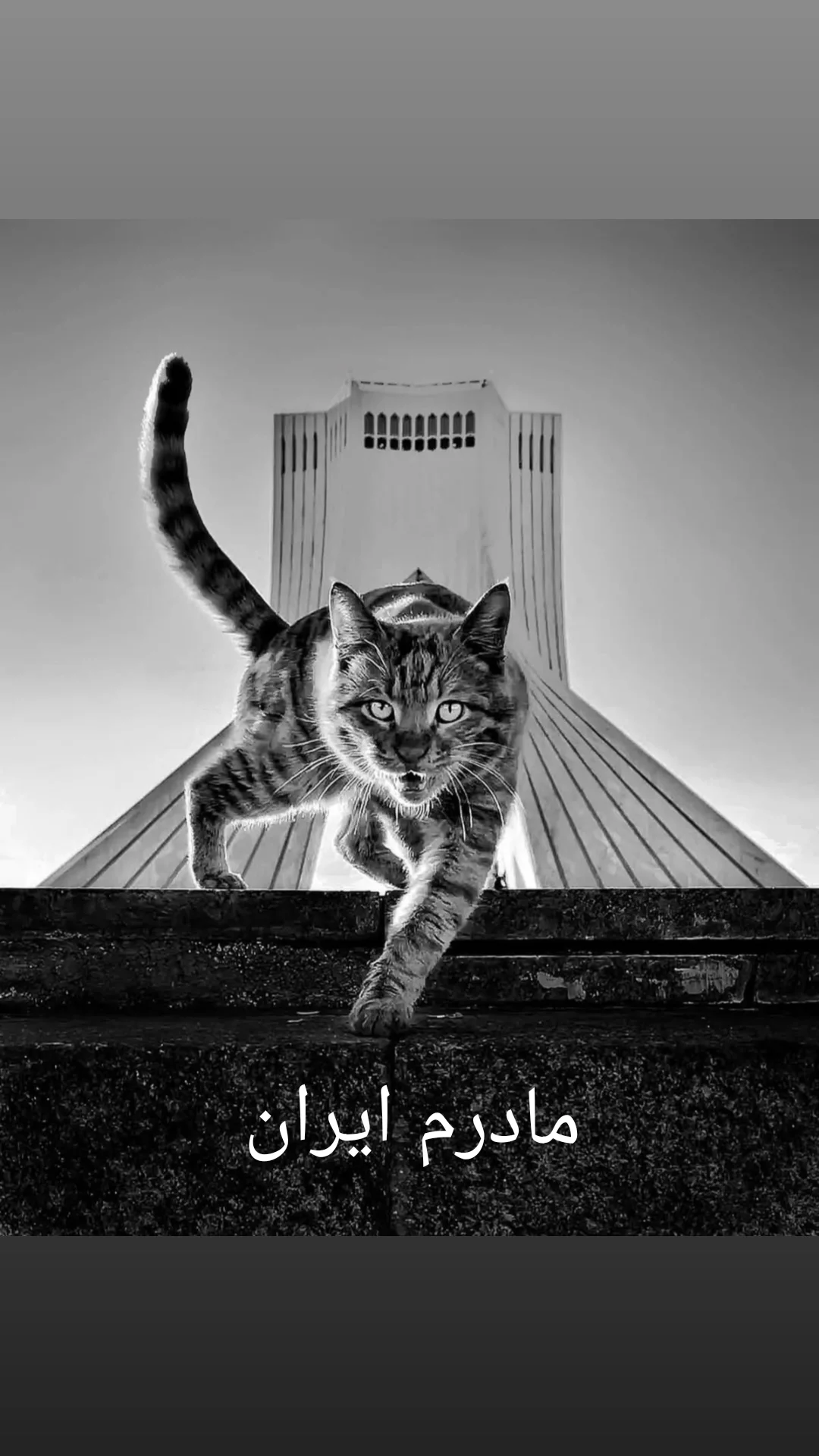  جدید ترین استوری اینستاگرام مهدی احمدوند