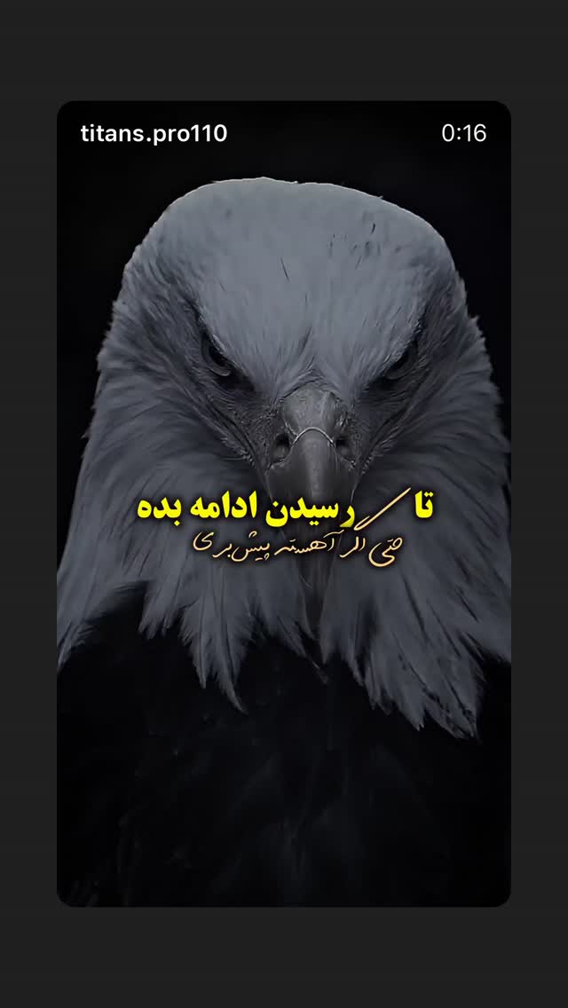  جدید ترین استوری اینستاگرام مهدی کیانی
