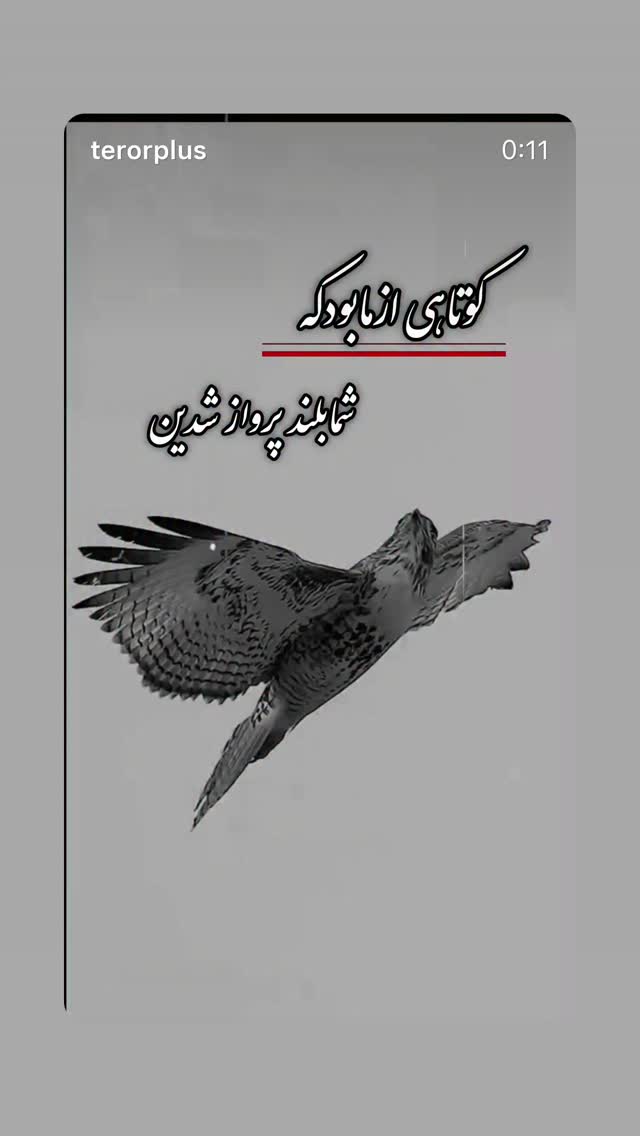  جدید ترین استوری اینستاگرام مهدی کیانی
