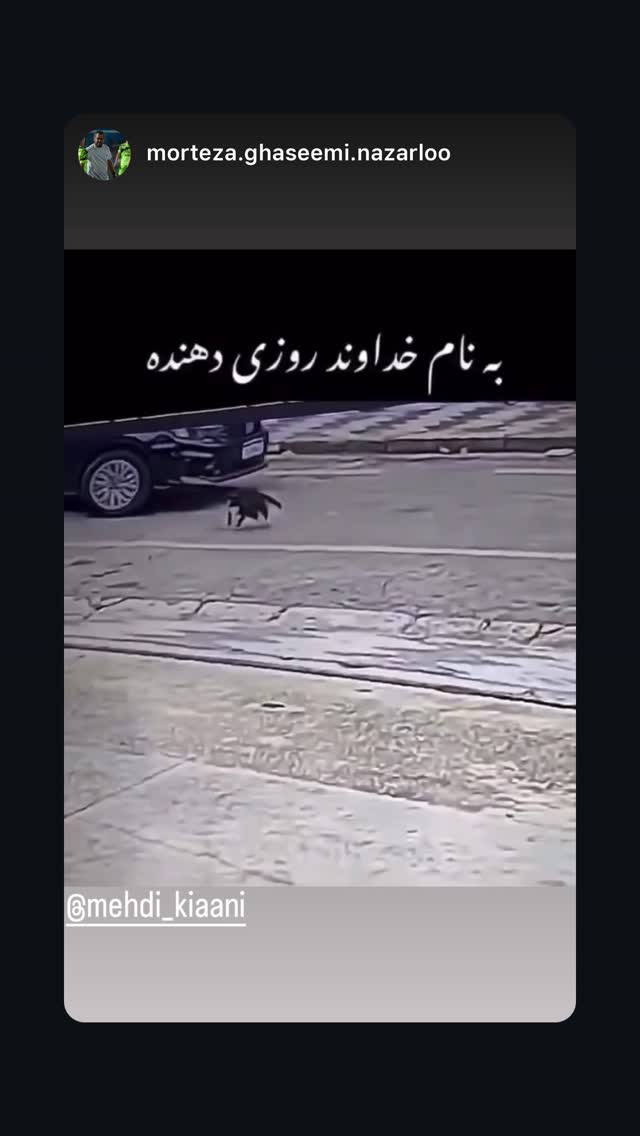  جدید ترین استوری اینستاگرام مهدی کیانی
