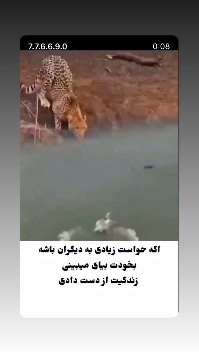  جدید ترین استوری اینستاگرام مهدی کیانی