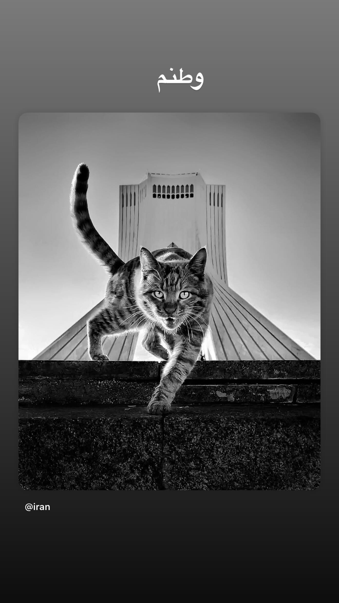  جدید ترین استوری اینستاگرام مهدی قائدی