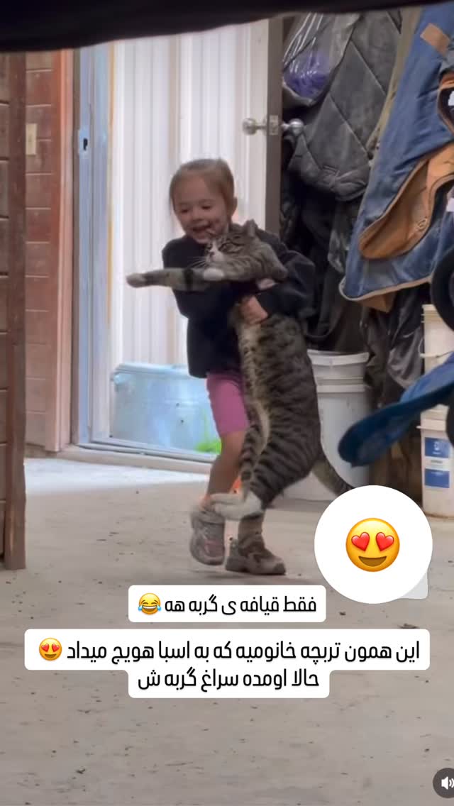  جدید ترین استوری اینستاگرام مهدی سالک