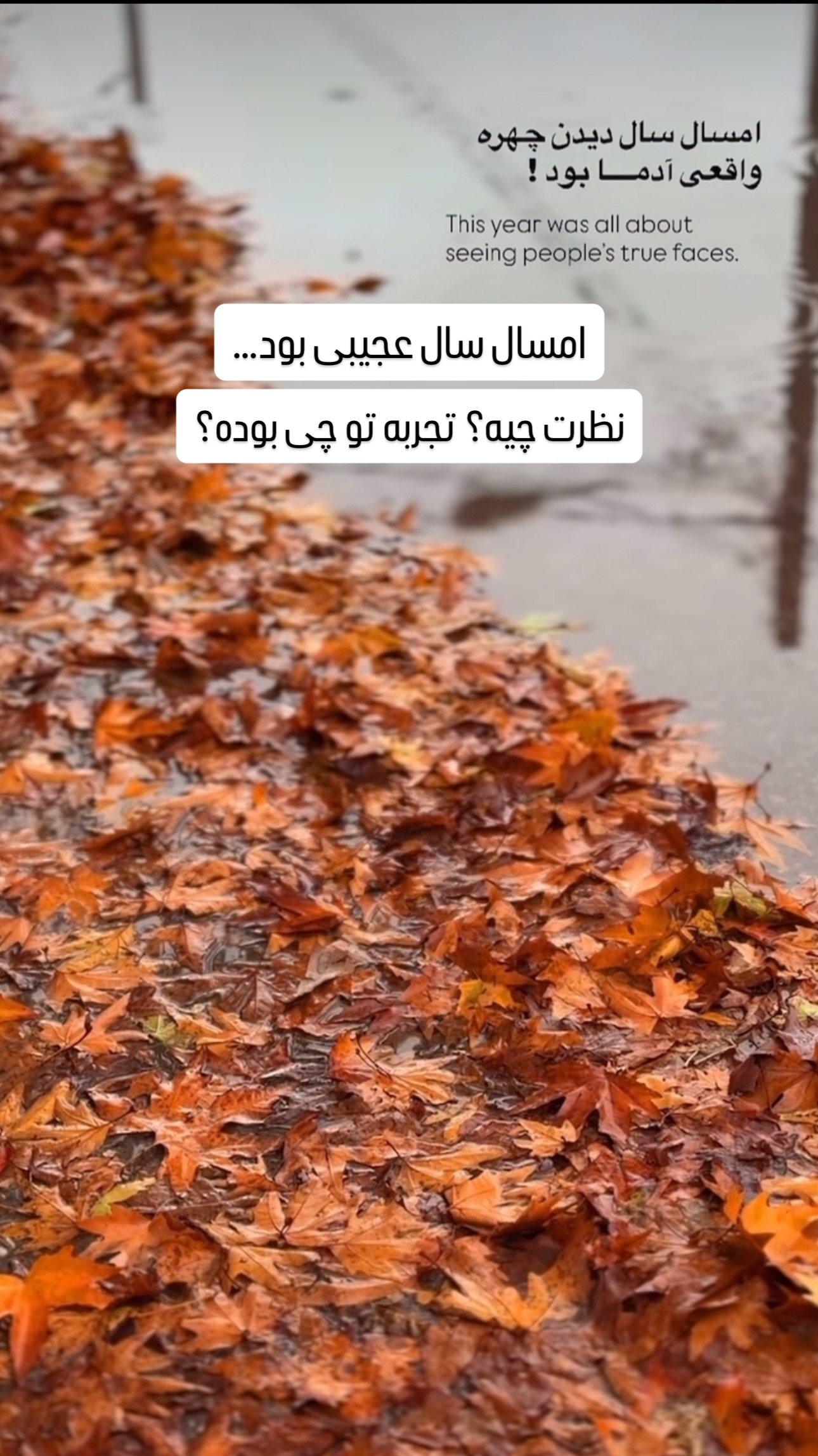  جدید ترین استوری اینستاگرام مهدی سالک