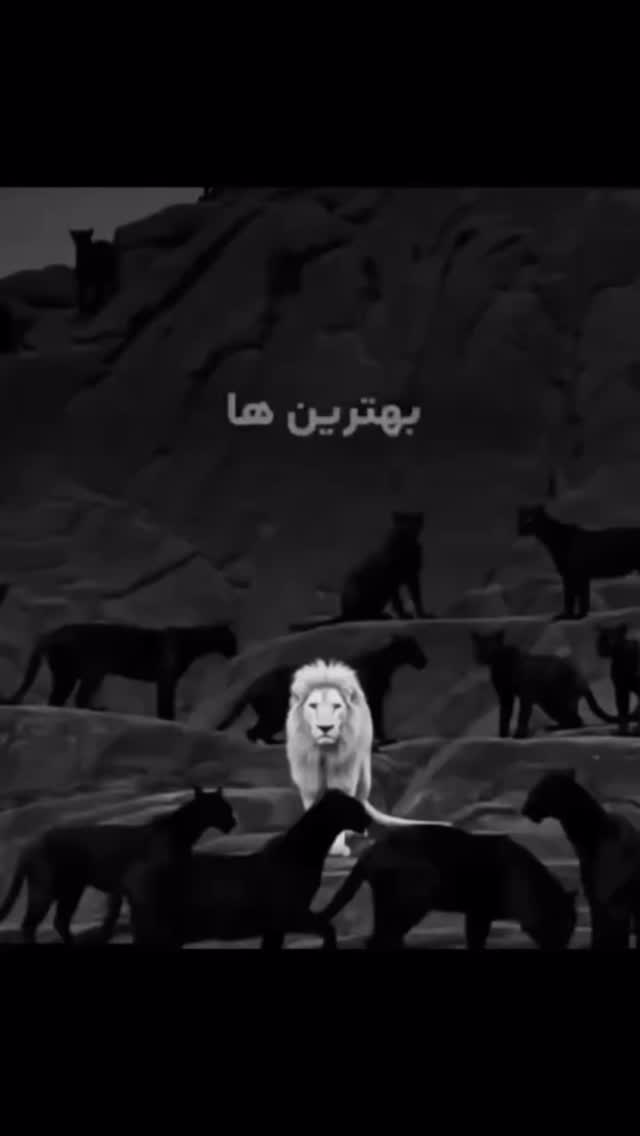  جدید ترین استوری اینستاگرام مهدی صبایی