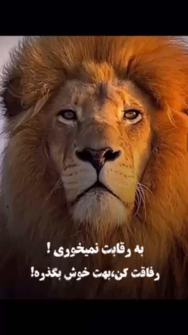  جدید ترین استوری اینستاگرام مهدی صبایی