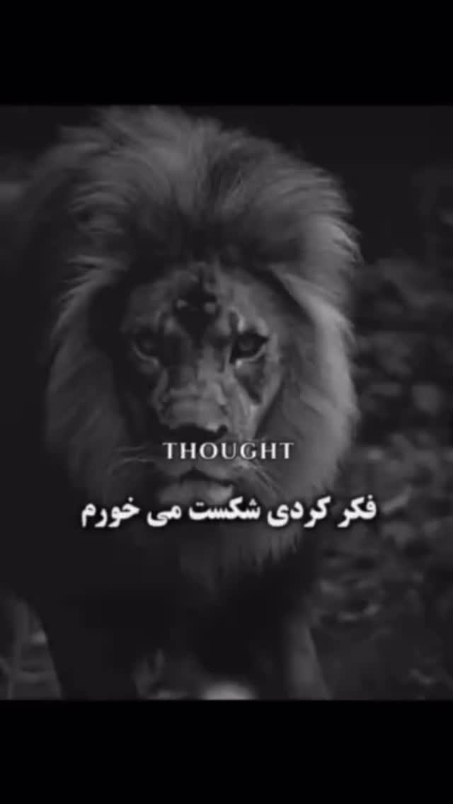  جدید ترین استوری اینستاگرام مهدی صبایی