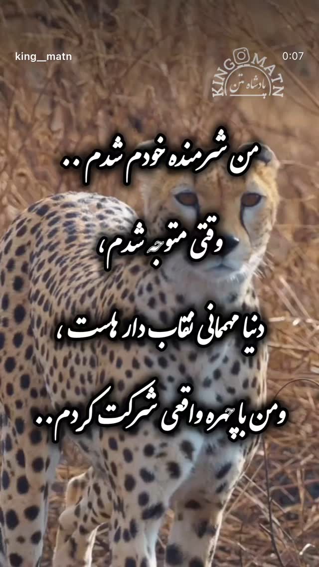 جدید ترین استوری اینستاگرام مهدی صبایی