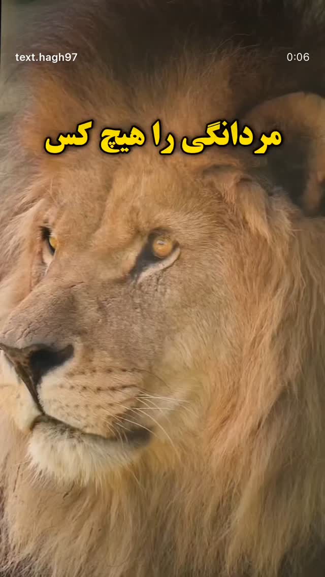  جدید ترین استوری اینستاگرام مهدی صبایی