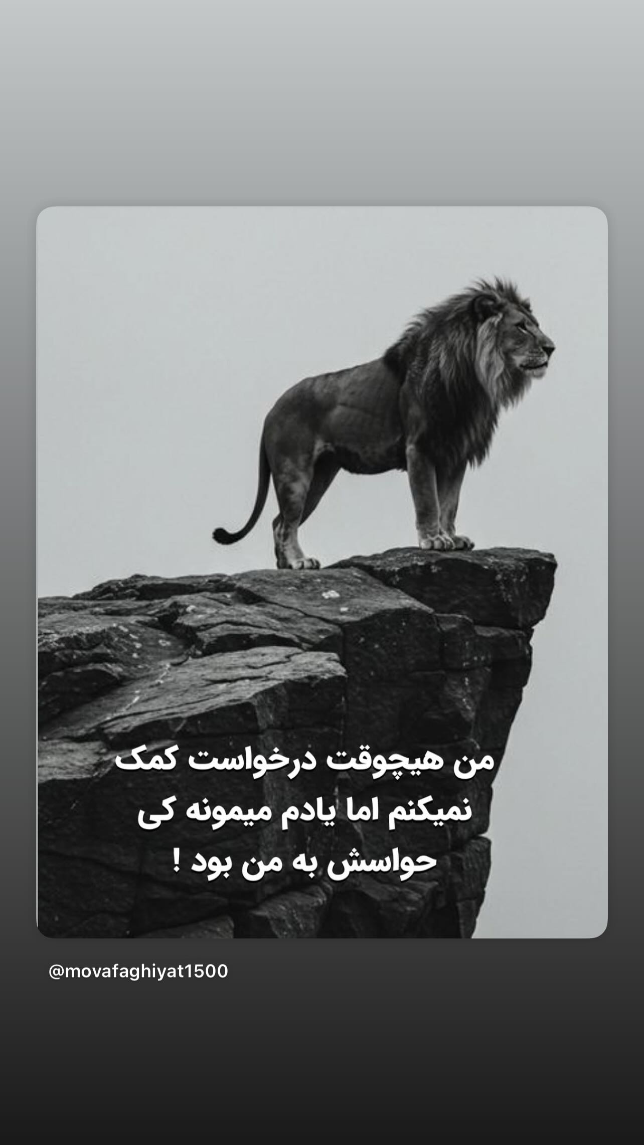  جدید ترین استوری اینستاگرام مهدی صبایی