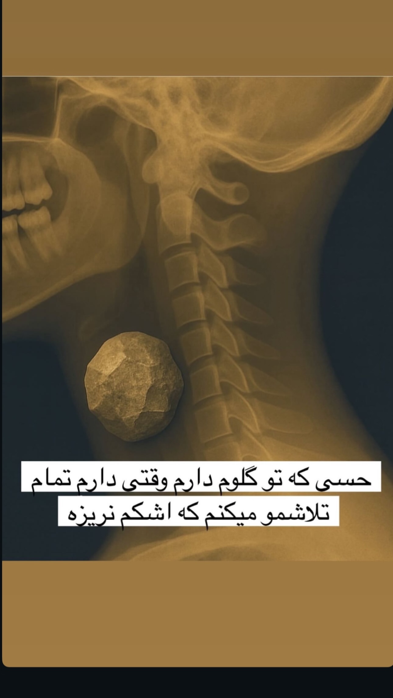  جدید ترین استوری اینستاگرام مهدی سیفی