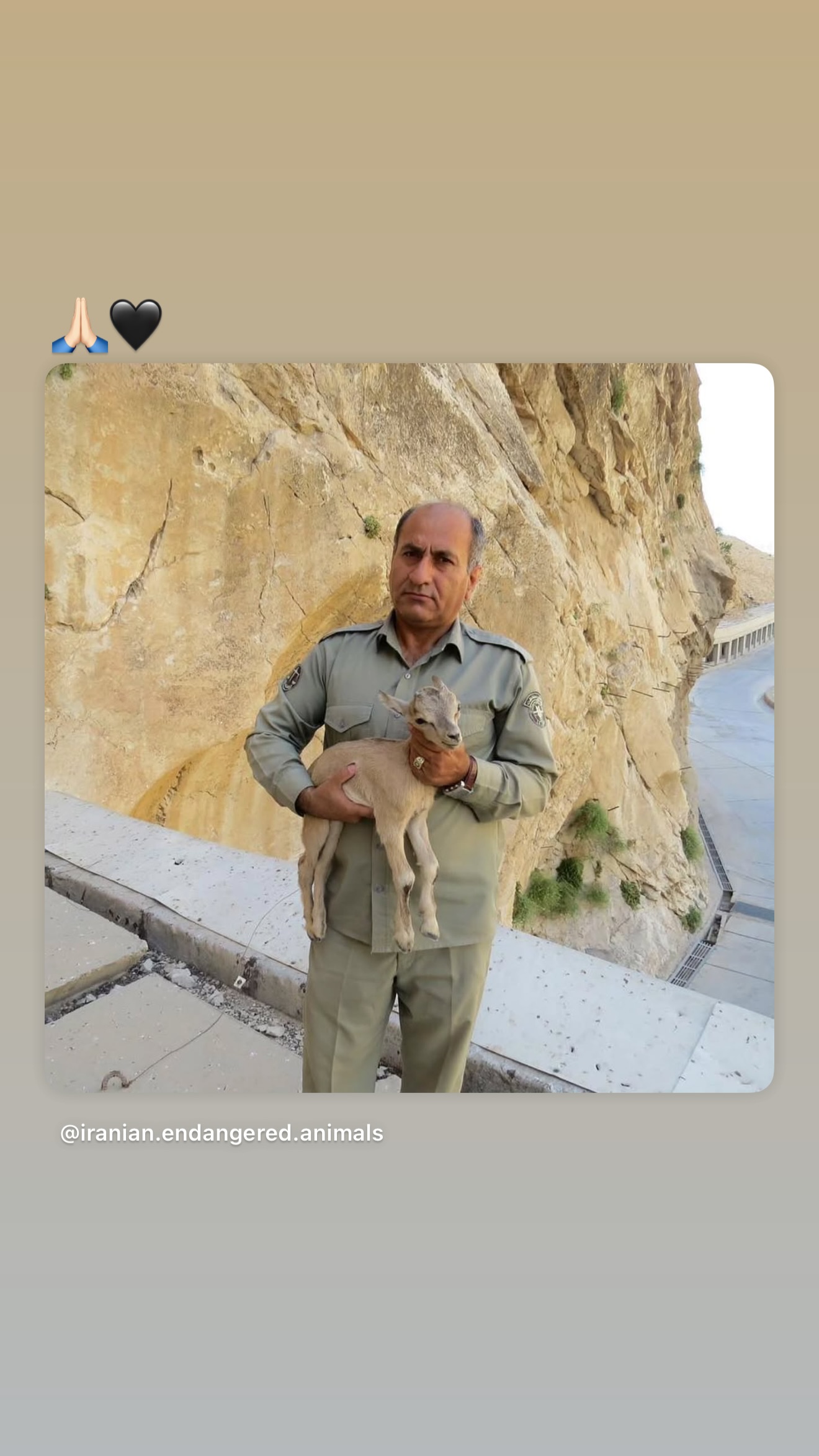  جدید ترین استوری اینستاگرام مهراد جم