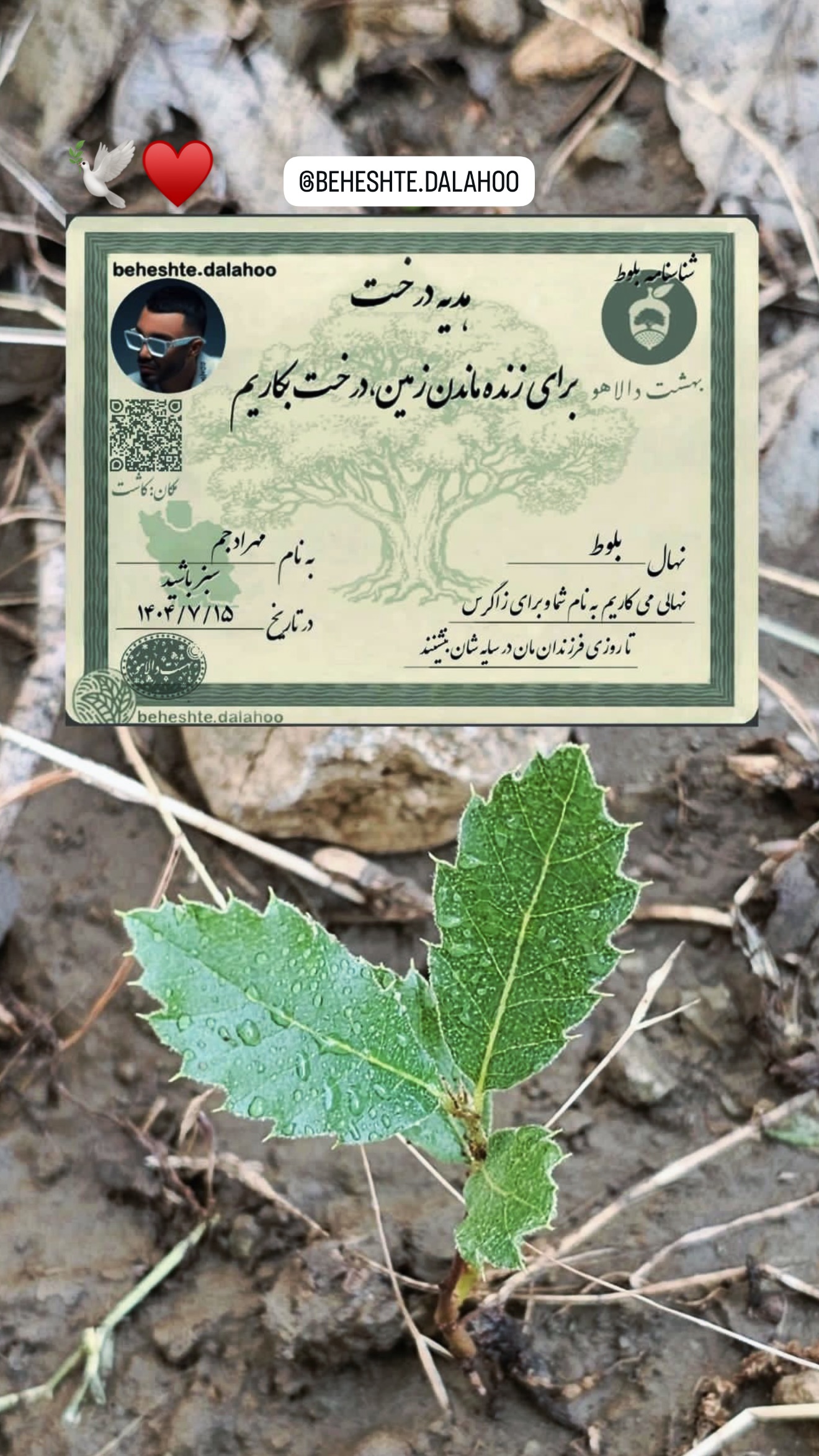  جدید ترین استوری اینستاگرام مهراد جم