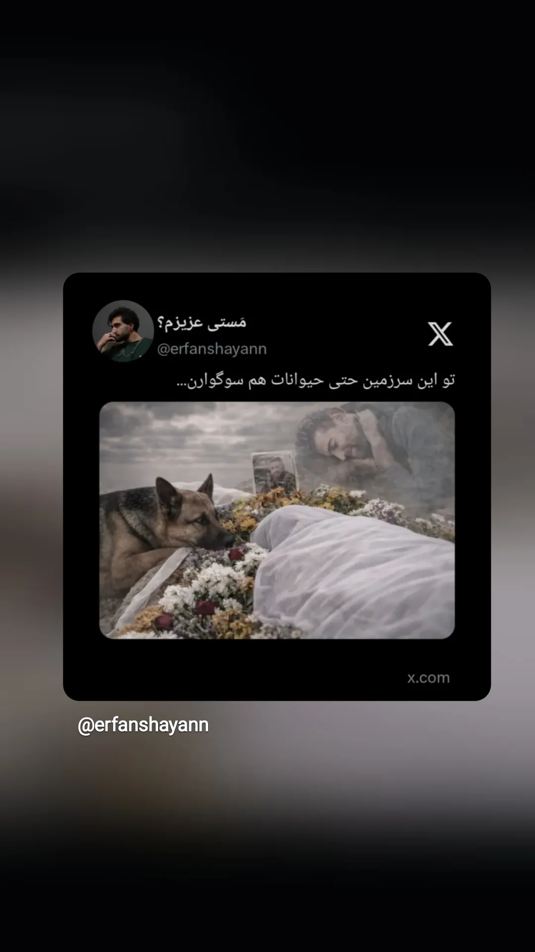  جدید ترین استوری اینستاگرام مهرآفاق صدقی