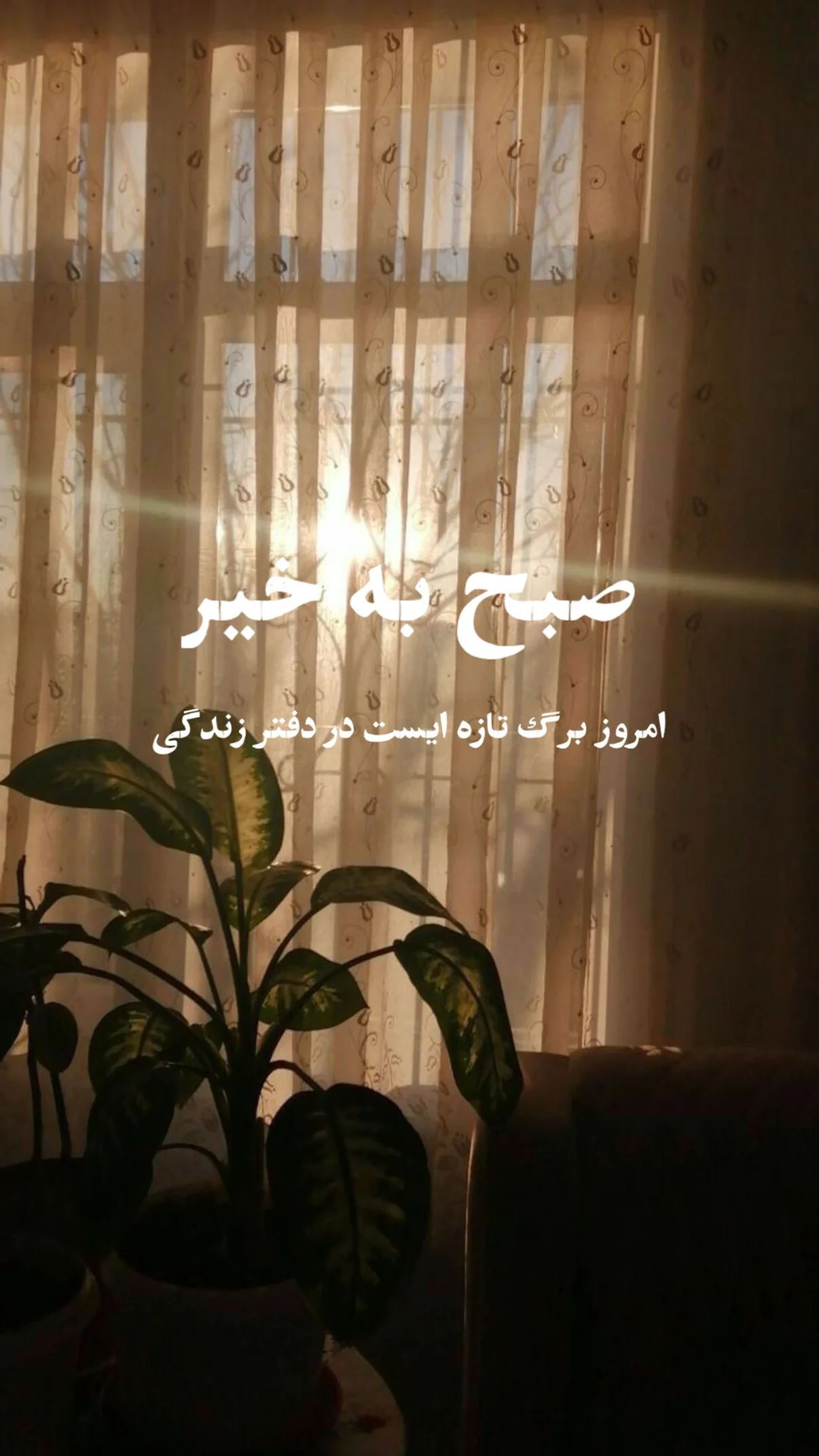  جدید ترین استوری اینستاگرام مهران یاوری