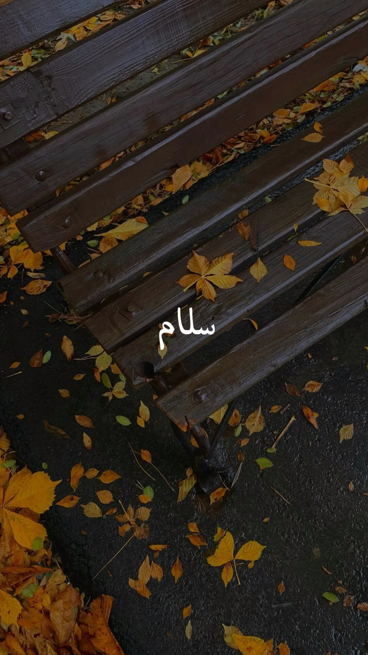  جدید ترین استوری اینستاگرام مهران یاوری