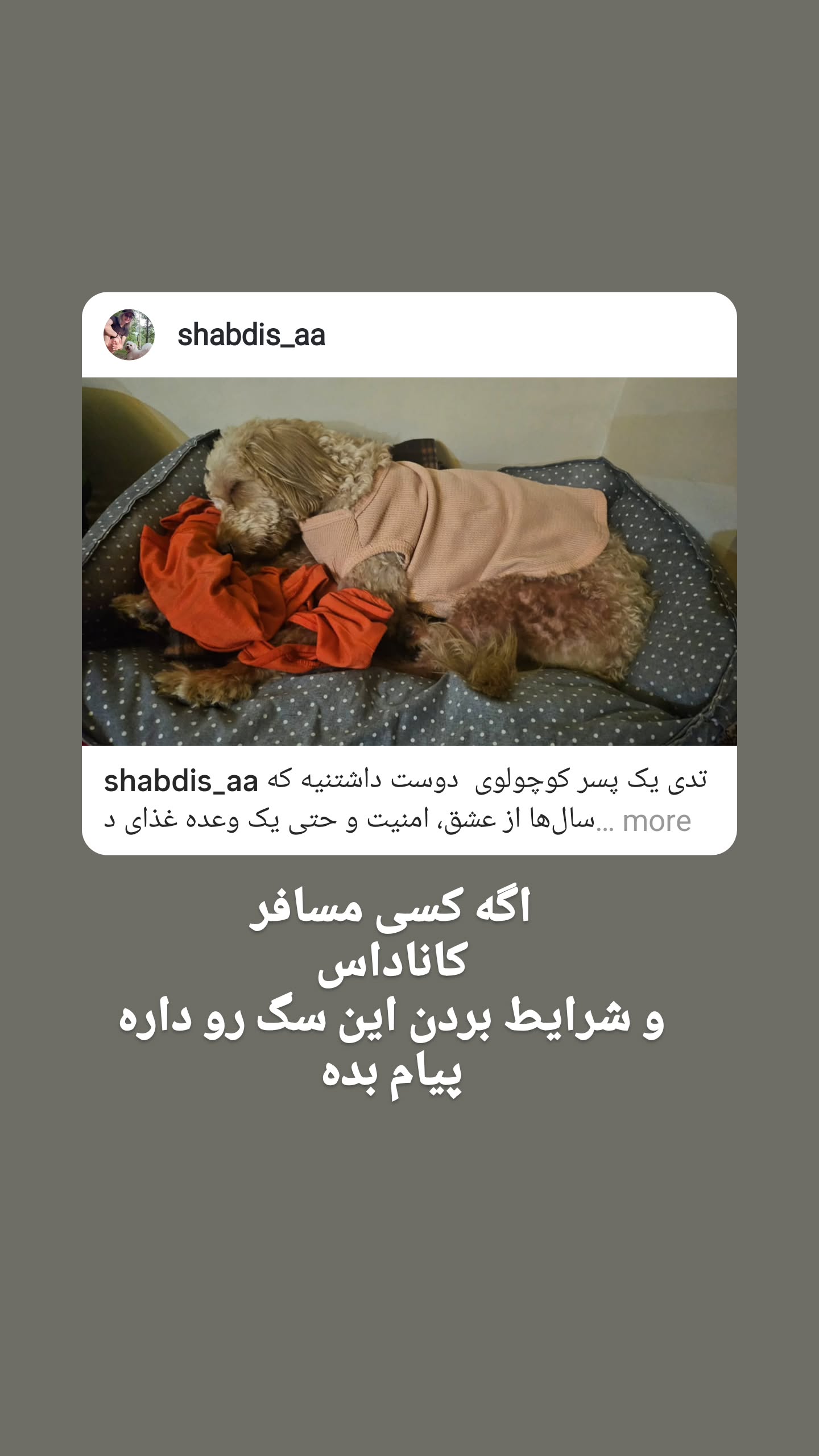  جدید ترین استوری اینستاگرام مهرداد نصرتی