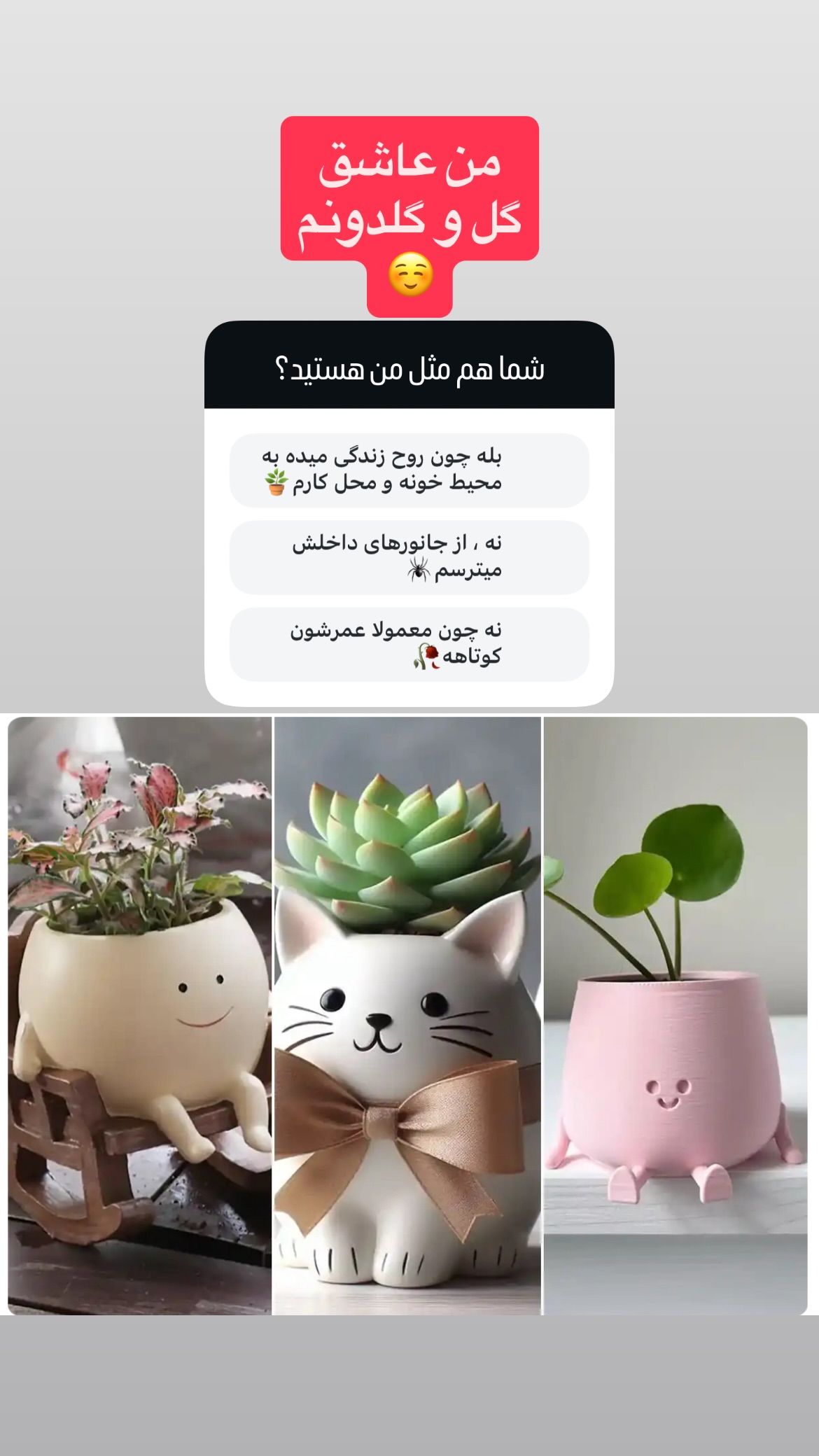  جدید ترین استوری اینستاگرام مهرناز دبیز زاده