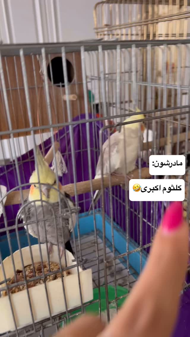  جدید ترین استوری اینستاگرام مهرسا سامی