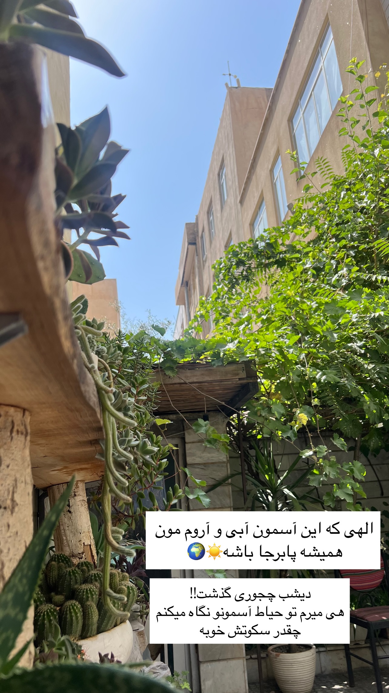  جدید ترین استوری اینستاگرام مهرسا سامی