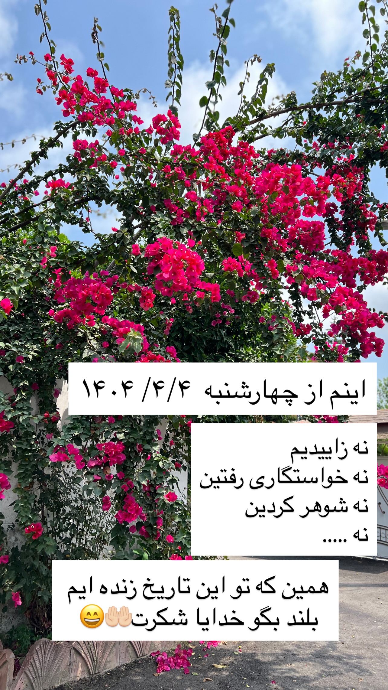  جدید ترین استوری اینستاگرام مهرسا سامی