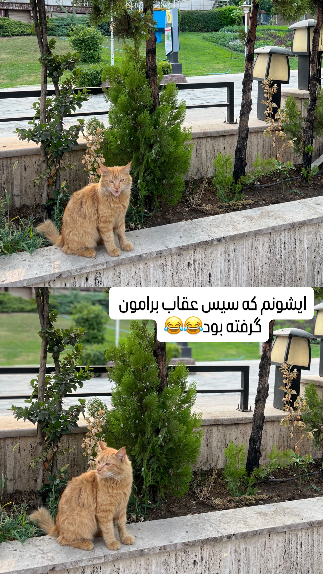  جدید ترین استوری اینستاگرام مهرسا سامی