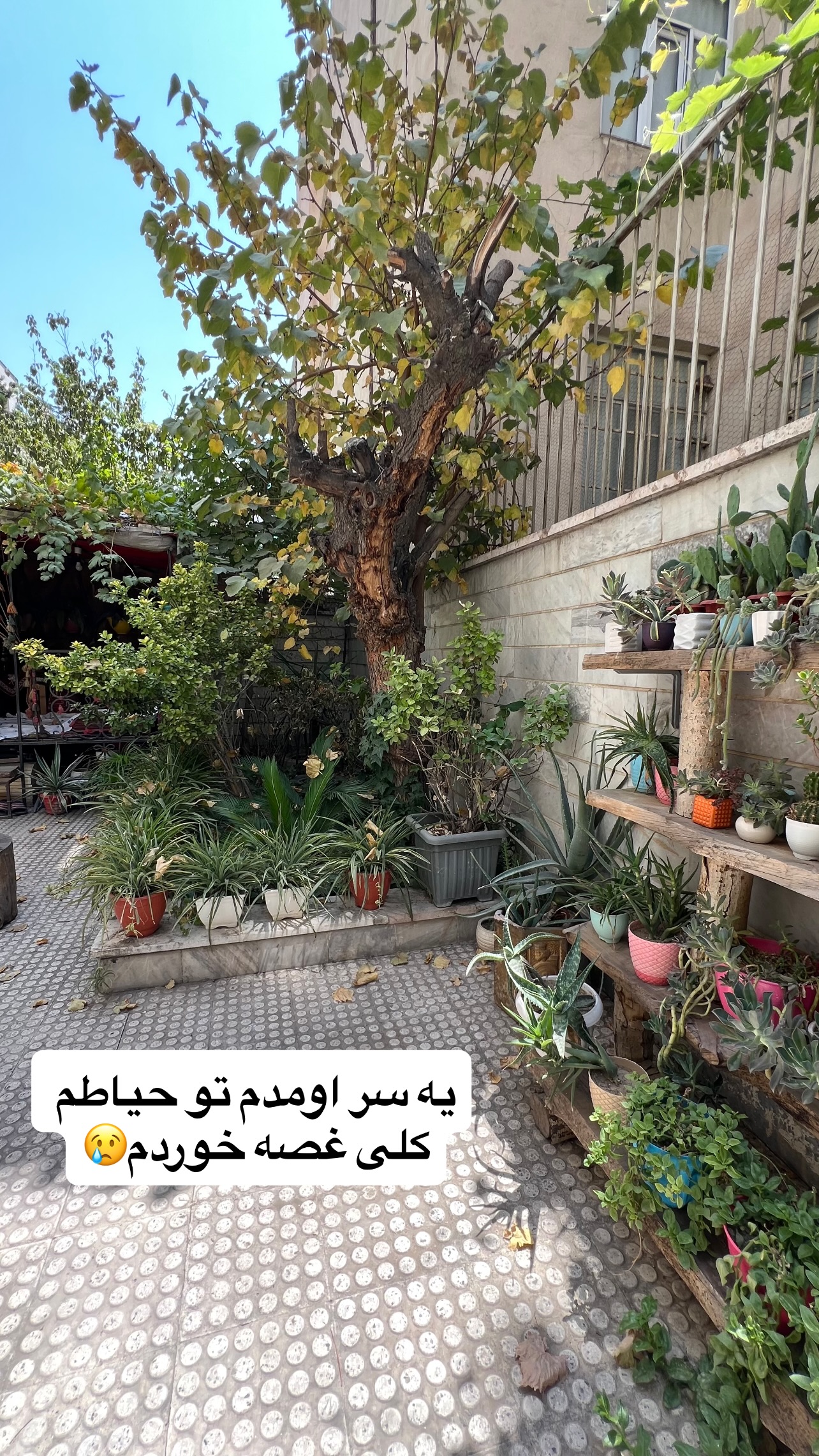 جدید ترین استوری اینستاگرام مهرسا سامی