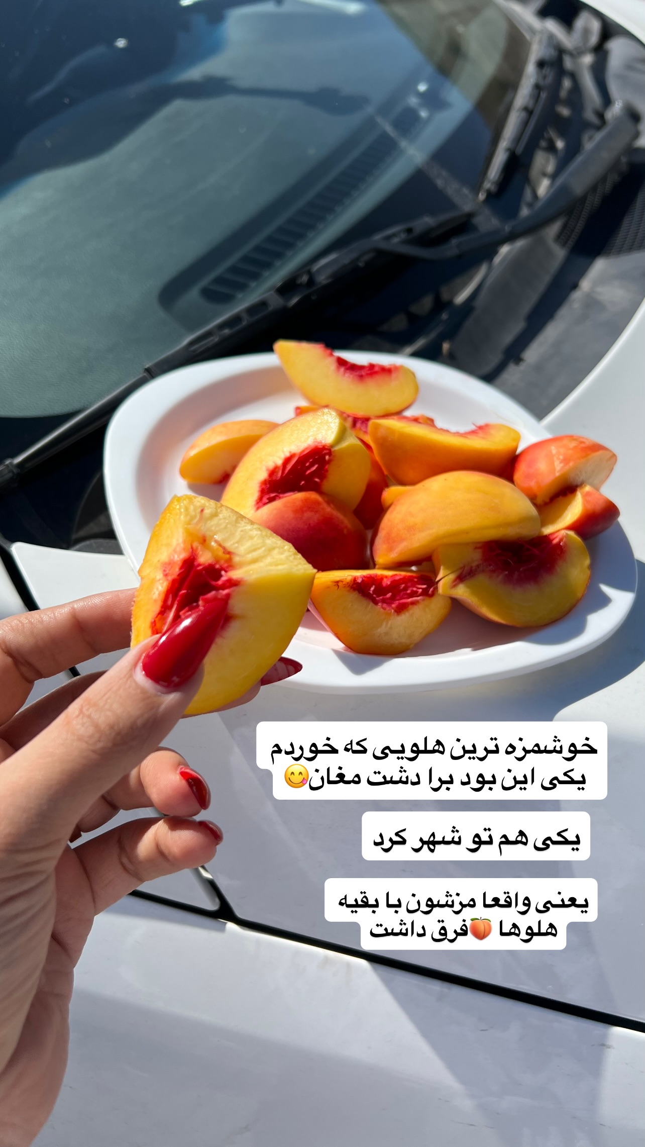  جدید ترین استوری اینستاگرام مهرسا سامی