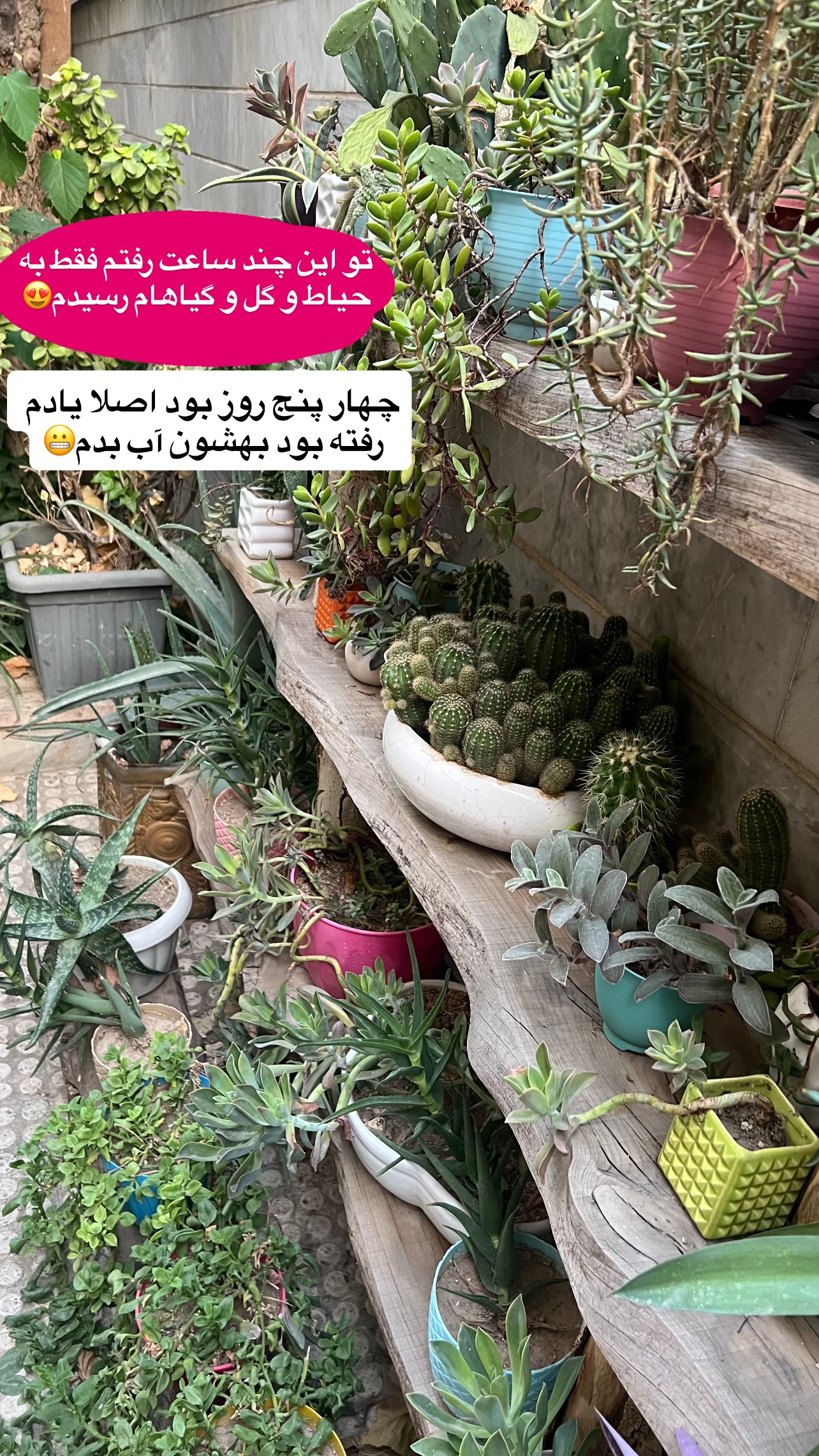  جدید ترین استوری اینستاگرام مهرسا سامی