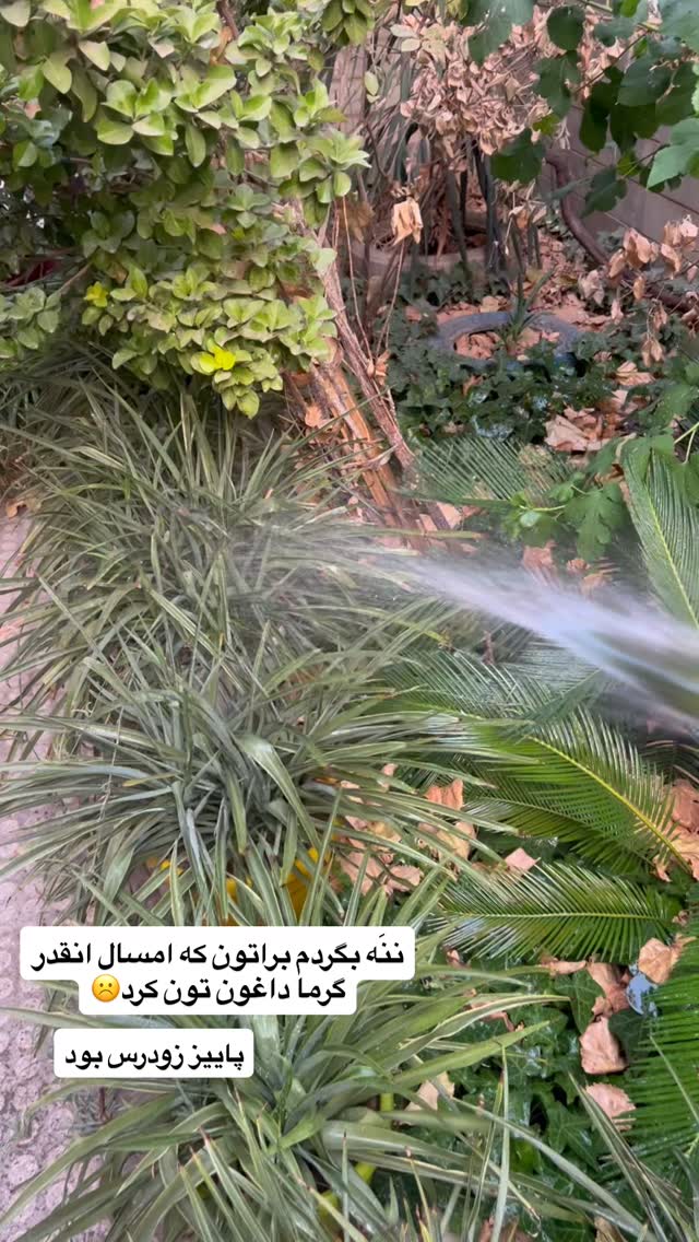  جدید ترین استوری اینستاگرام مهرسا سامی