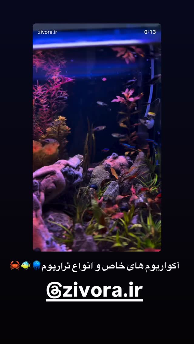  جدید ترین استوری اینستاگرام مهرسا سامی
