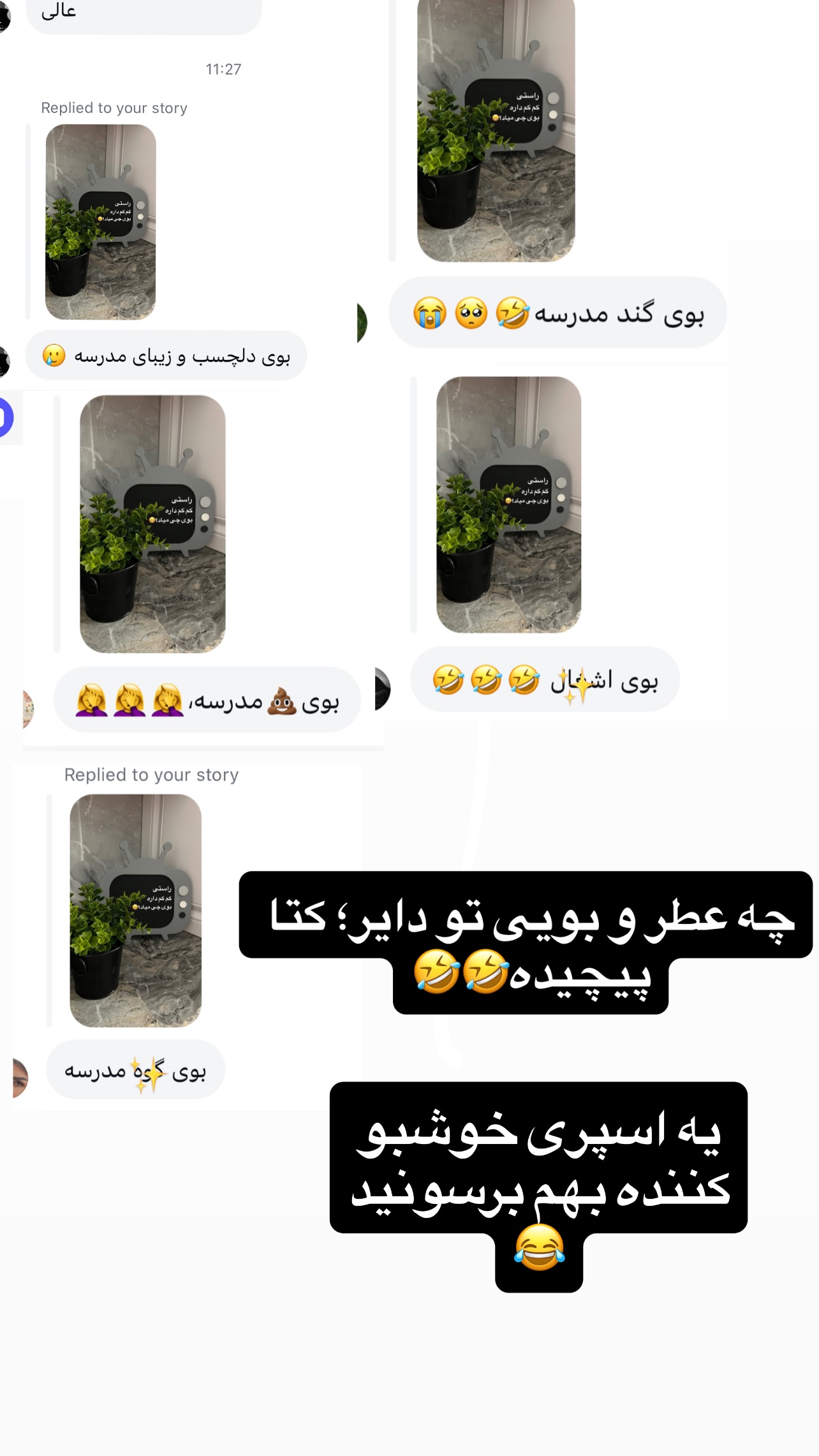  جدید ترین استوری اینستاگرام مهرسا سامی