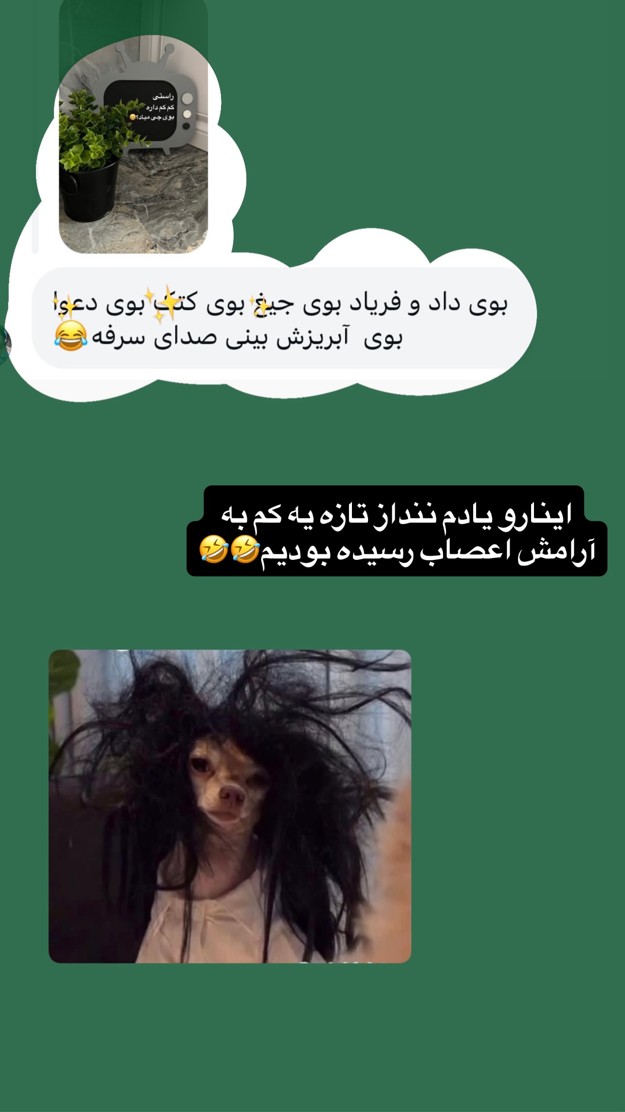  جدید ترین استوری اینستاگرام مهرسا سامی