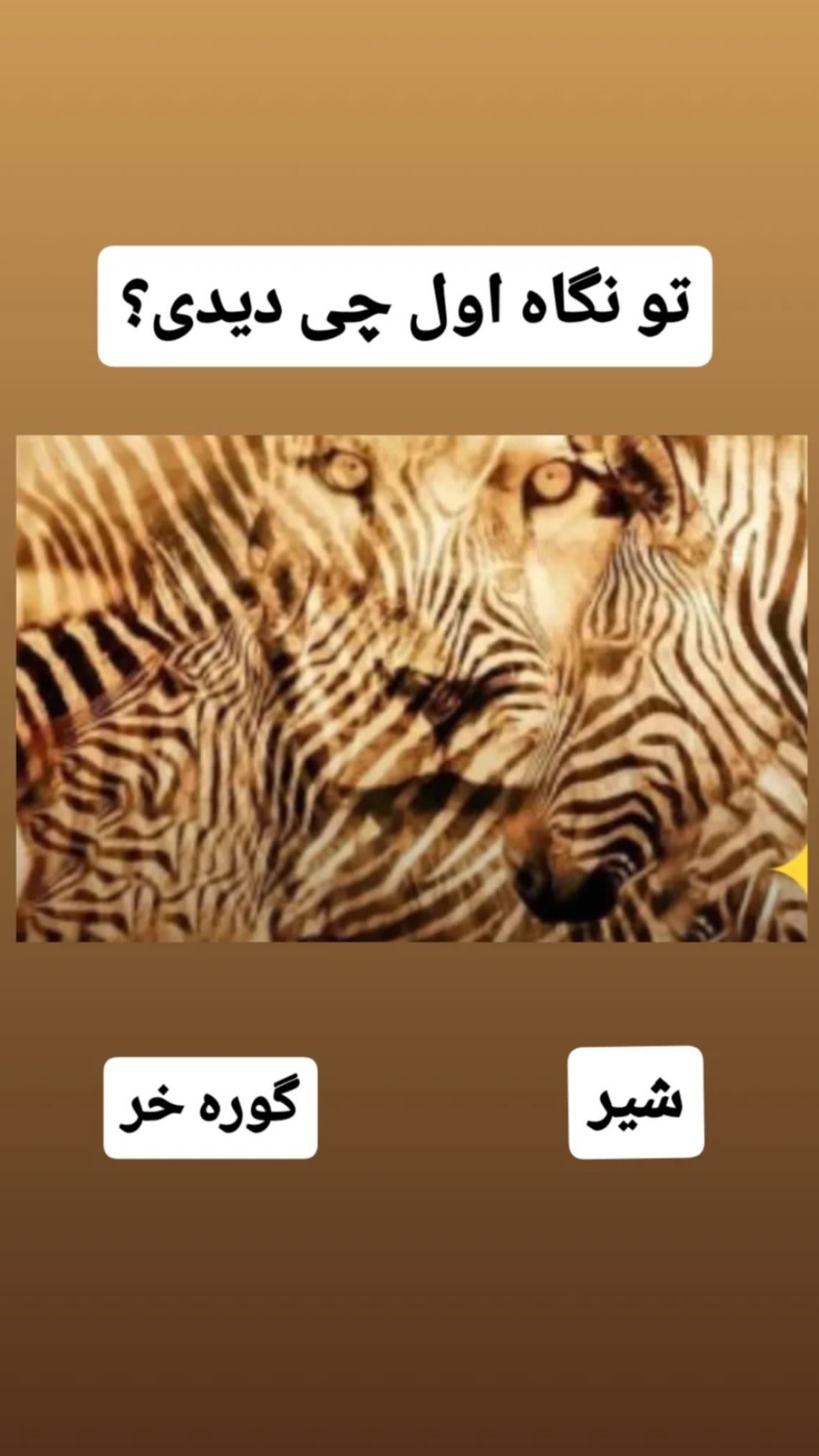  جدید ترین استوری اینستاگرام مهرسا سامی