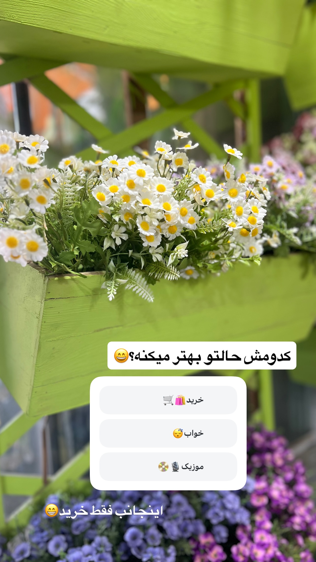  جدید ترین استوری اینستاگرام مهرسا سامی