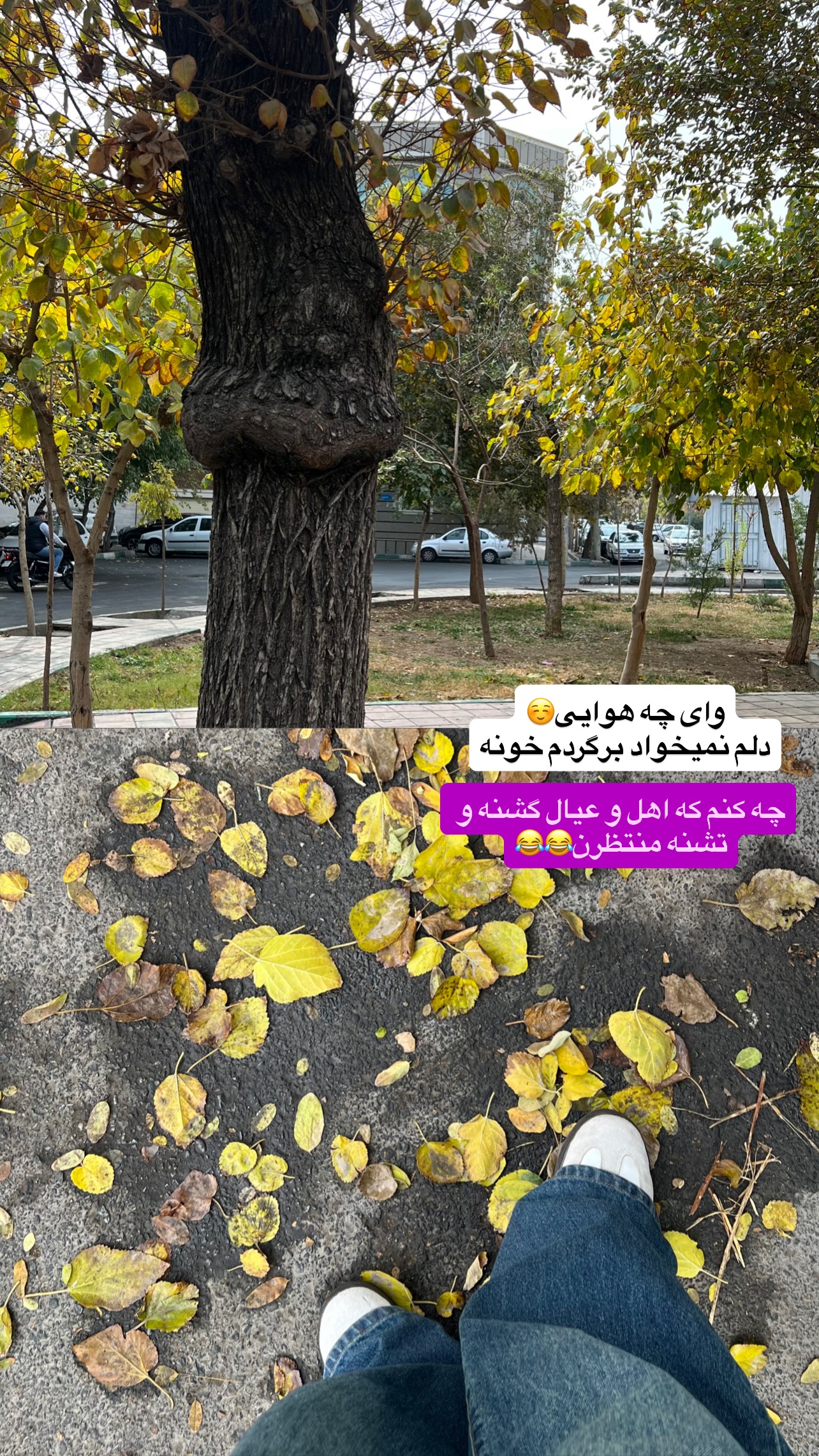  جدید ترین استوری اینستاگرام مهرسا سامی
