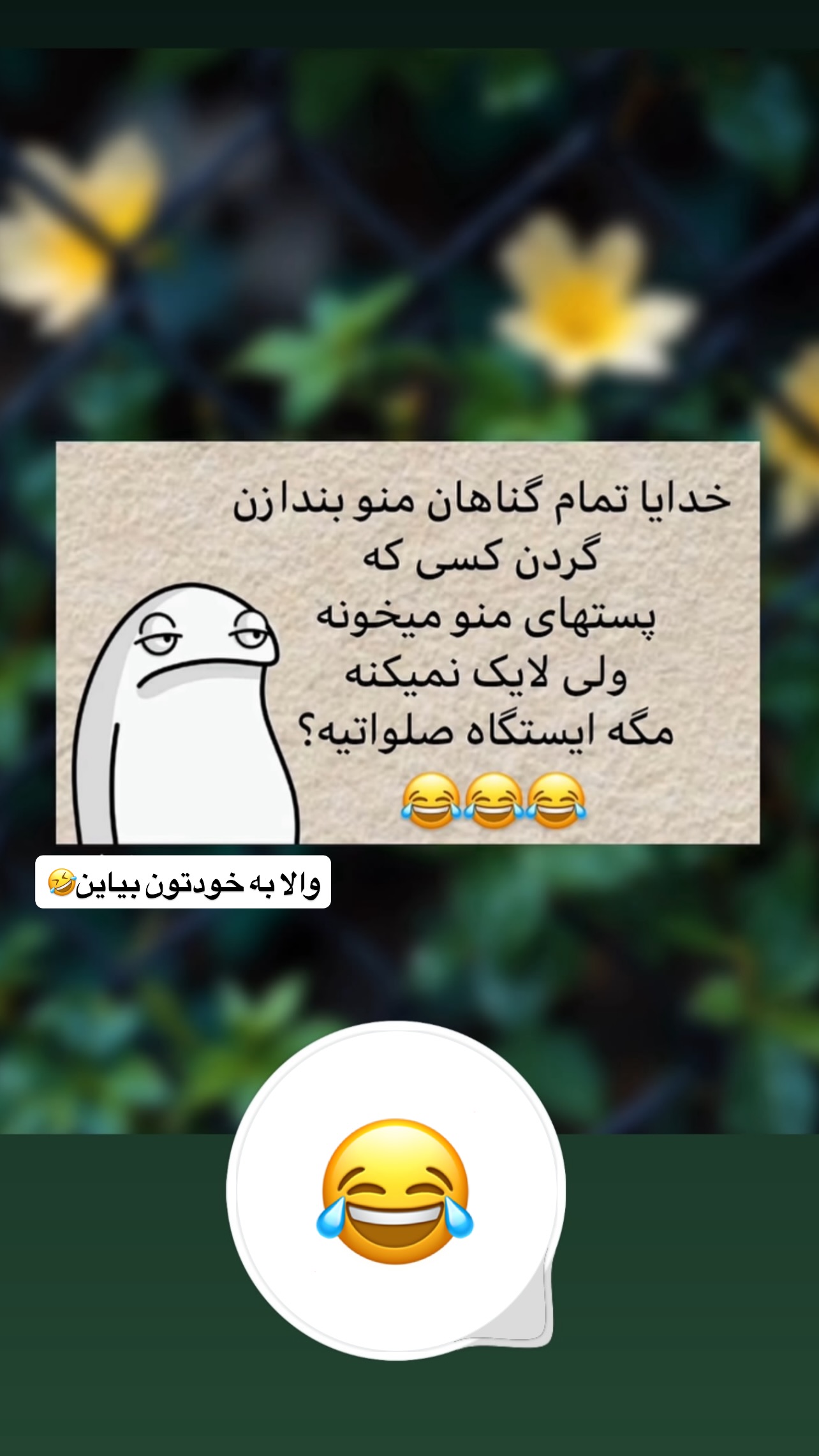  جدید ترین استوری اینستاگرام مهرسا سامی