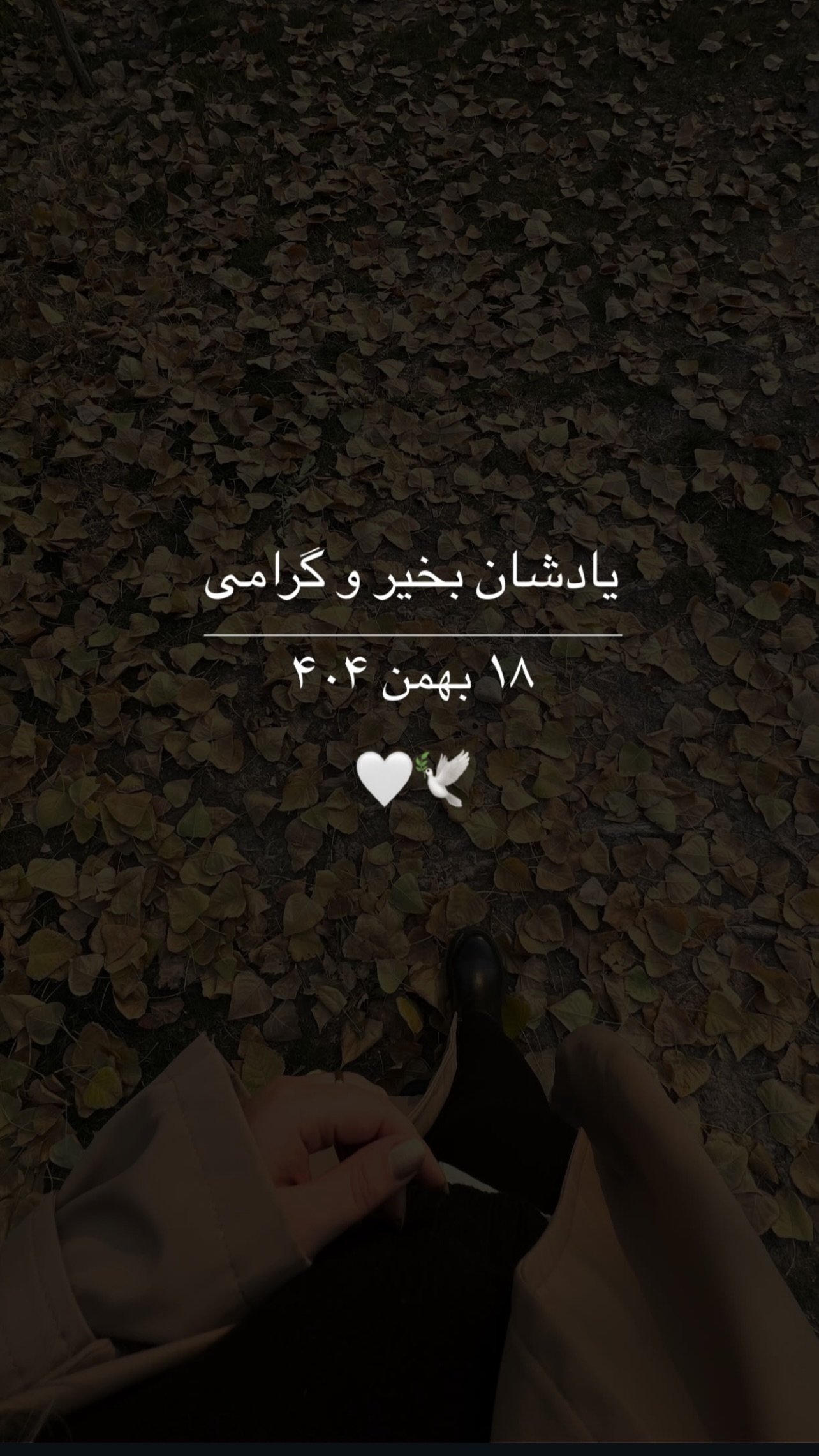  جدید ترین استوری اینستاگرام مهرسا سامی